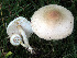  ( - GAJ.19576)  @11 [ ] by-nc (2024) Jarkko Korhonen Unspecified