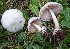  ( - GAJ.19616)  @11 [ ] by-nc (2024) Tapio Kekki Unspecified