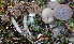  ( - GAJ.19649)  @11 [ ] by-nc (2023) Tapio Kekki Unspecified