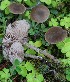  ( - GAJ.19660)  @11 [ ] by-nc (2023) Tapio Kekki Unspecified