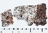  ( - GAJ.5655)  @11 [ ] by-nc (2019) Marko Mutanen University of Oulu