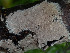  ( - GAVA.655)  @11 [ ] by-nc (2024) Teppo Helo Unspecified