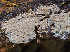  ( - GAVA.669)  @11 [ ] by-nc (2024) Teppo Helo Unspecified