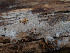  ( - GAVA.672)  @11 [ ] by-nc (2024) Teppo Helo Unspecified