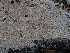  ( - GAVA.673)  @11 [ ] by-nc (2024) Teppo Helo Unspecified