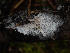  ( - GAVA.675)  @11 [ ] by-nc (2024) Teppo Helo Unspecified