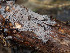  ( - GAVA.676)  @11 [ ] by-nc (2024) Teppo Helo Unspecified