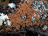  ( - GAVA.700)  @11 [ ] by-nc (2024) Teppo Helo Unspecified