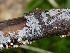  ( - GAVA.705)  @11 [ ] by-nc (2024) Teppo Helo Unspecified