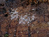  ( - GAVA.717)  @11 [ ] by-nc (2024) Teppo Helo Unspecified