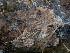  ( - GAVA.728)  @11 [ ] by-nc (2024) Teppo Helo Unspecified