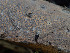  ( - GAVA.733)  @11 [ ] by-nc (2024) Teppo Helo Unspecified