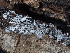  ( - GAVA.740)  @11 [ ] by-nc (2025) Teppo Helo Unspecified
