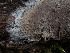  ( - GAVA.750)  @11 [ ] by-nc (2025) Teppo Helo Unspecified