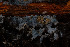  ( - GAVA.755)  @11 [ ] by-nc (2025) Teppo Helo Unspecified