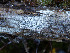  ( - GAVA.768)  @11 [ ] by-nc (2025) Teppo Helo Unspecified