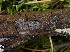  ( - GAVA.774)  @11 [ ] by-nc (2023) Teppo Helo Unspecified