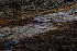  ( - GAVA.776)  @11 [ ] by-nc (2020) Teppo Helo Unspecified