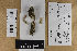  ( - H6014744)  @11 [ ] by-nc (2021) Marko Mutanen University of Oulu