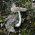  ( - TFU.205860)  @11 [ ] by-nc (2012) Tapio Kekki Unspecified