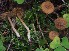  ( - TFU.209866)  @11 [ ] by-nc (2021) Jukka Vauras Unspecified