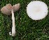  ( - TFU.216985)  @11 [ ] by-nc (2023) Jukka Vauras Unspecified