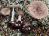  ( - TFU.217016)  @11 [ ] by-nc (2024) Jukka Vauras Unspecified