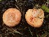  ( - TFU.208961)  @11 [ ] by-nc (2019) Jukka Vauras Unspecified