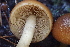  ( - HAY-F-000261)  @11 [ ] cc-by-nc (2023) Damon Tighe FunDiS