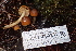  ( - HAY-F-000261)  @11 [ ] cc-by-nc (2023) Damon Tighe FunDiS