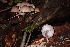  ( - HAY-F-000268)  @11 [ ] cc-by-nc (2023) Damon Tighe FunDiS