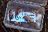  ( - HAY-F-000795)  @11 [ ] cc-by-nc (2023) Warren Cardimona FunDiS