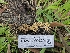  (Phaeoclavulina sp. CA05 - HAY-F-000629)  @11 [ ] by (2023) Mandy Hackney Fungal Diversity Survey