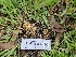  ( - HAY-F-000629)  @11 [ ] by (2023) Mandy Hackney Fungal Diversity Survey