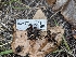  ( - HAY-F-002034)  @11 [ ] by-nc (2023) Stu Pickell Fungal Diversity Survey