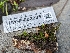  ( - HAY-F-002035)  @11 [ ] by-nc (2023) Stu Pickell Fungal Diversity Survey