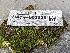  ( - HAY-F-002036)  @11 [ ] by-nc (2023) Stu Pickell Fungal Diversity Survey