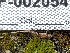  ( - HAY-F-002054)  @11 [ ] by-nc (2023) Stu Pickell Fungal Diversity Survey