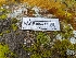  ( - HAY-F-002054)  @11 [ ] by-nc (2023) Stu Pickell Fungal Diversity Survey