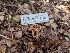  ( - HAY-F-002072)  @11 [ ] by-nc (2023) Stu Pickell Fungal Diversity Survey