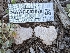  ( - HAY-F-002079)  @11 [ ] by-nc (2023) Stu Pickell Fungal Diversity Survey