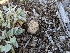  ( - HAY-F-002079)  @11 [ ] by-nc (2023) Stu Pickell Fungal Diversity Survey