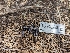  ( - HAY-F-002083)  @11 [ ] by-nc (2023) Stu Pickell Fungal Diversity Survey