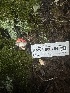  ( - HAY-F-000454)  @11 [ ] c (2023) Rudy Diaz Fungal Diversity Survey