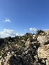  ( - HAY-F-002599)  @11 [ ] c (2023) Rudy Diaz Fungal Diversity Survey