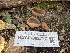  ( - HAY-F-002787)  @11 [ ] by-nc (2023) Damon Tighe Fungal Diversity Survey