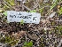  ( - HAY-F-002069)  @11 [ ] by-nc (2023) Stu Pickell Fungal Diversity Survey