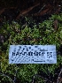  ( - HAY-F-001961)  @11 [ ] cc-by-nc (2023) Luca Hickey FunDiS