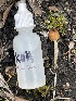  ( - HAY-F-002801)  @11 [ ] by-nc (2023) Damon Tighe Fungal Diversity Survey