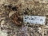  ( - HAY-F-001977)  @11 [ ] by-nc (2023) Stu Pickell Fungal Diversity Survey